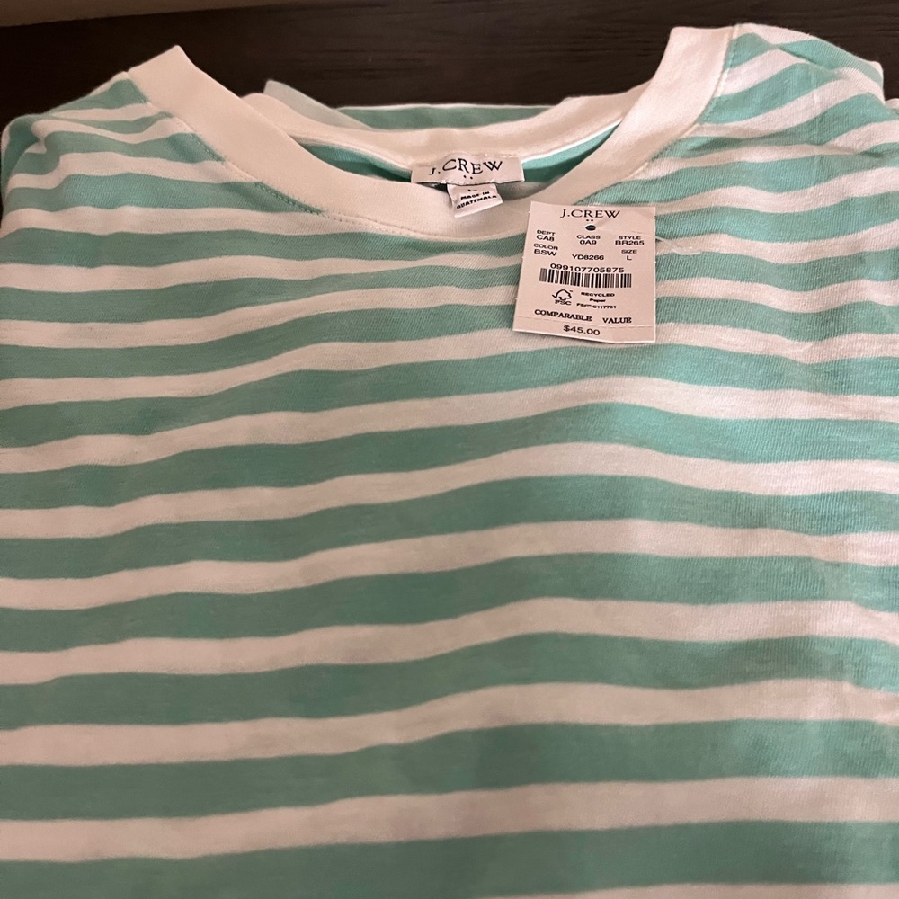 J.Crew Mint and White Striped Top